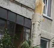 Įkrauk.lt nuotrauka