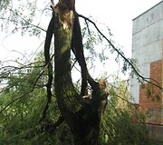 Įkrauk.lt nuotrauka