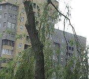Įkrauk.lt nuotrauka