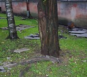 Įkrauk.lt nuotrauka