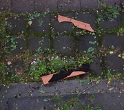 Įkrauk.lt nuotrauka