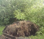 Įkrauk.lt nuotrauka