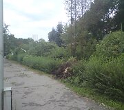 Įkrauk.lt nuotrauka