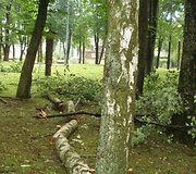 Įkrauk.lt nuotrauka
