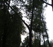 Įkrauk.lt nuotrauka