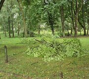 Įkrauk.lt nuotrauka