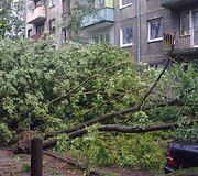 Įkrauk.lt nuotrauka