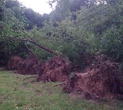 Įkrauk.lt nuotrauka