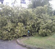 Įkrauk.lt nuotrauka