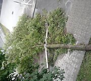 Įkrauk.lt nuotrauka