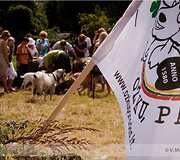Įkrauk.lt nuotrauka