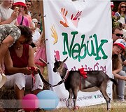 Įkrauk.lt nuotrauka