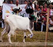 Įkrauk.lt nuotrauka
