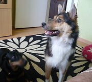 Įkrauk.lt nuotrauka