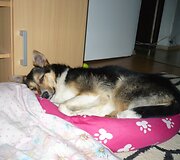 Įkrauk.lt nuotrauka