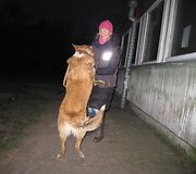 Įkrauk.lt nuotrauka