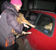 Įkrauk.lt nuotrauka