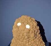 Pictoplasma"
