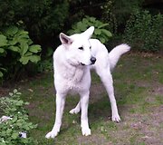 Nuotraukos pavadinimas