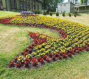 Fotokonkursas &bdquo;Žalia vasara&ldquo;: pasigrožėkite skaitytojų kadrais 