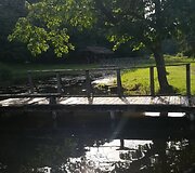 Fotokonkursas &bdquo;Žalia vasara&ldquo;: pasigrožėkite skaitytojų kadrais (III)