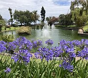 Madeira