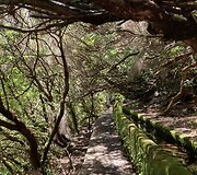 Madeira