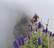 Madeira