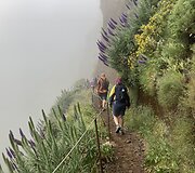 Madeira