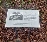 Kelionė po Nemunėlio Radvili&scaron;kį