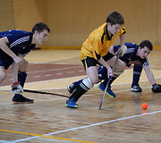 Uždarų patalpų vaikinų U-18 riedulio turnyras Dauguose 
