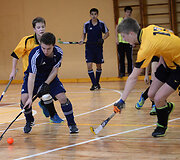 Uždarų patalpų vaikinų U-18 riedulio turnyras Dauguose 