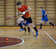 Uždarų patalpų vaikinų U-18 riedulio turnyras Dauguose 