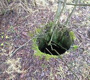 Balsių mi&scaron;kelio tvarkymas