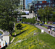 Gėlėmis pražydusi Vilniaus Neries pakrantė