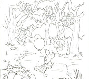 Nuotraukos pavadinimas