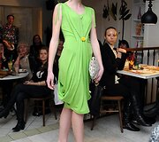 Liubovės Čaplikienės modelis