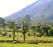 Arenal vulkano nacionalinis parkas