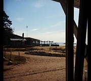 Sashos Song gyvenimo Sankt Peterburgo akimirkos