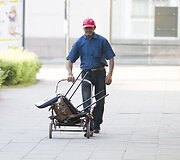 Vilniuje au&scaron;ta naujas rytas