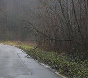 Senasis kelias nuo Karolini&scaron;kių link Salotės ežero