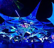 Akimirka i&scaron; &bdquo;Yaga Gathering&ldquo; festivalio