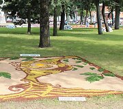Nuotraukos pavadinimas