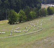 15min.lt kolektyvas specialioje rogučių trasoje Slovėnijoje