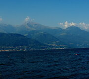 Cremia