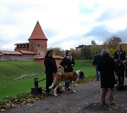 2012 m. &scaron;ventės akimirka