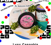 Organizatorių nuotr. /&Scaron;v. Kotrynos bažnyčios &bdquo;Kalėdų Pop Up&ldquo; dalyviai.