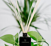 CERERIA MOLLA namų kvapas su lazdelėmis &ldquo;Tea & Lemongrass''