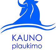 Eimantė Rainytė, Kauno kolegija, J. Vienožinskio menų fakultetas