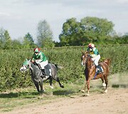 Sporto mėgėjus sutraukė Rie&scaron;ėje vykusios žirgų lenktynės. Martynos Navarackaitės nuotr.